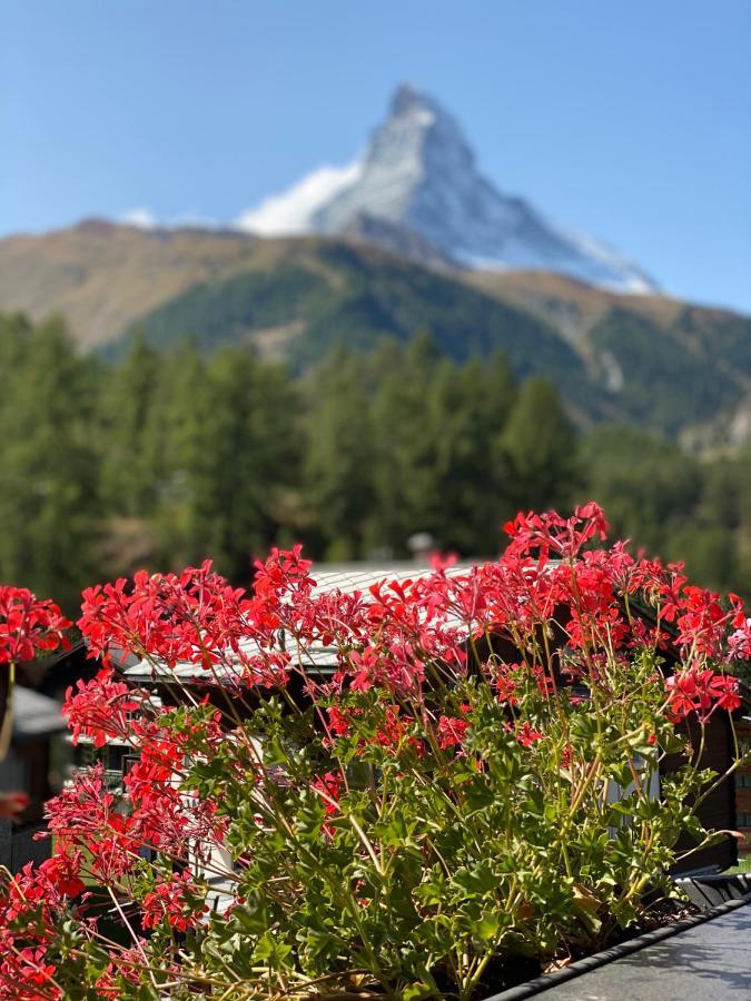Chalet Bull Zermatt Bagian luar foto